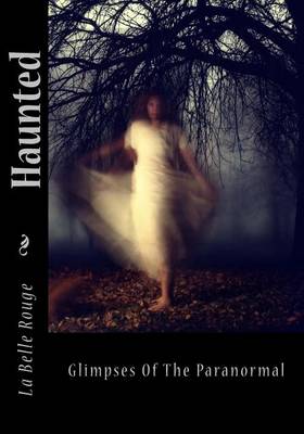 Book cover for Haunted