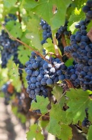 Cover of Ripe Purple Grapes on the Vine in a Vineyard Journal