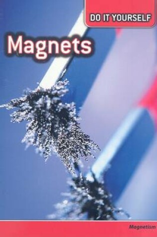 Cover of Magnets