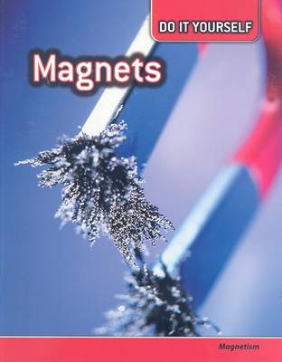 Book cover for Magnets