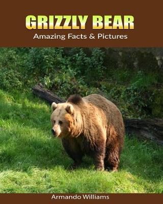 Book cover for Grizzly bear