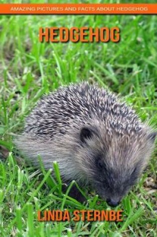 Cover of Hedgehog