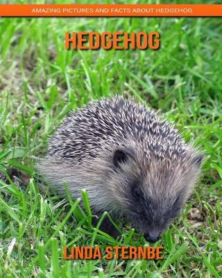 Book cover for Hedgehog