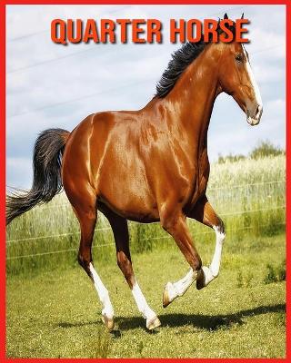 Book cover for Quarter Horse