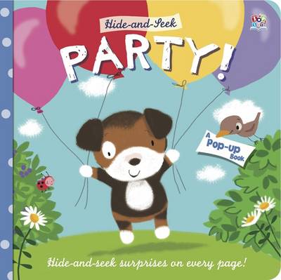 Book cover for Hide and Seek Party