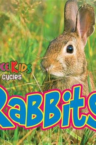 Cover of Rabbits