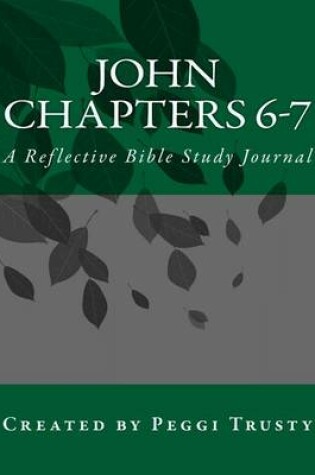 Cover of John, Chapters 6-7