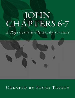 Book cover for John, Chapters 6-7