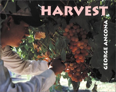 Book cover for Harvest