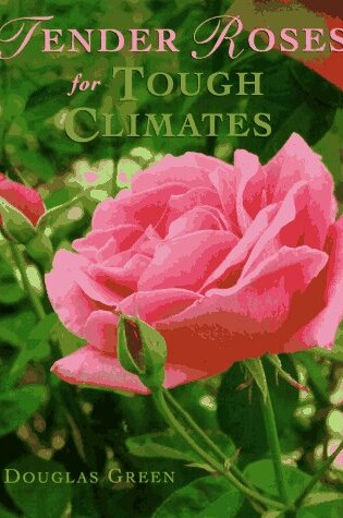Cover of Tender Roses for Tough Climates