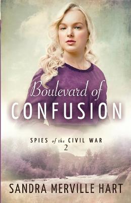 Book cover for Boulevard of Confusion