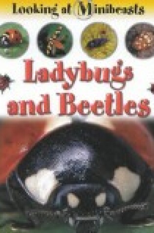 Cover of Ladybugs and Beetles