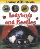 Cover of Ladybugs and Beetles