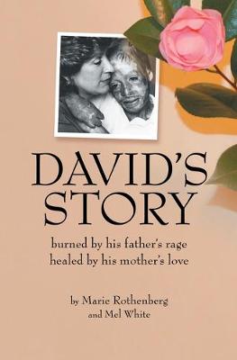 Book cover for David's Story