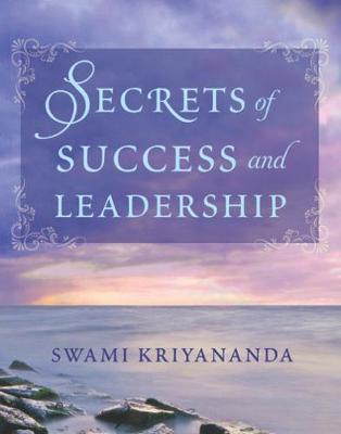 Book cover for Secrets of Success and Leadership