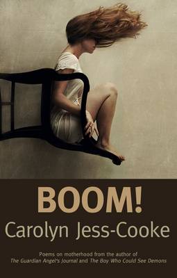 Book cover for Boom!