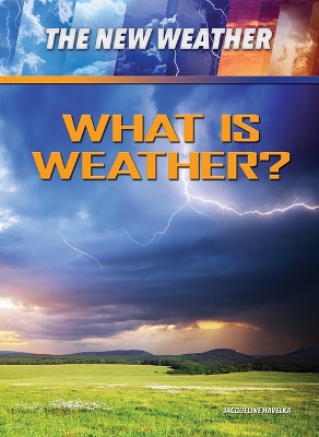Book cover for What Is Weather?