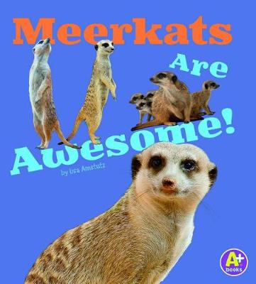 Book cover for Meerkats