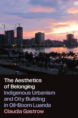 Book cover for The Aesthetics of Belonging