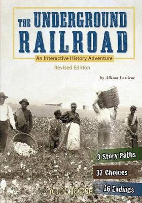 Book cover for Underground Railroad (You Choose: History)