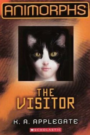 Cover of Visitor