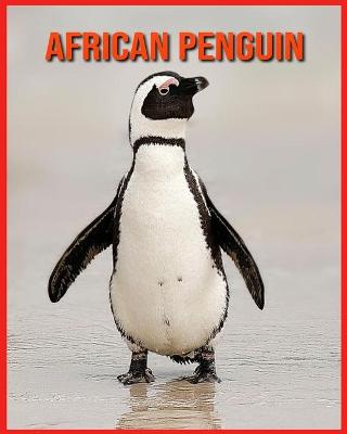 Book cover for African Penguin