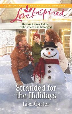 Book cover for Stranded for the Holidays