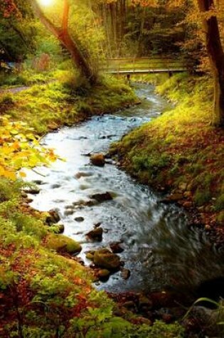 Cover of Cold Stream Running Through a Park