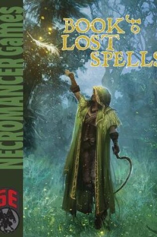 Cover of Book of Lost Spells - 5th Edition