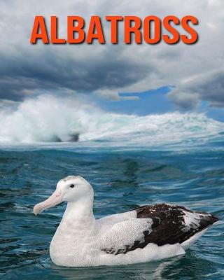 Book cover for Albatross