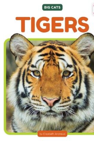 Cover of Tigers