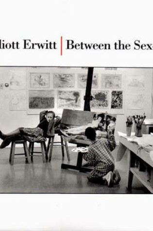 Cover of Between the Sexes