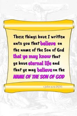 Book cover for These Things Have I Written Unto You That Believe on the Name of the Son of God