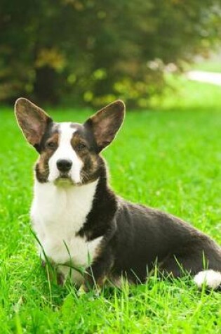 Cover of Welsh Corgi Cardigan Dog Journal