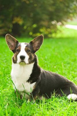 Book cover for Welsh Corgi Cardigan Dog Journal