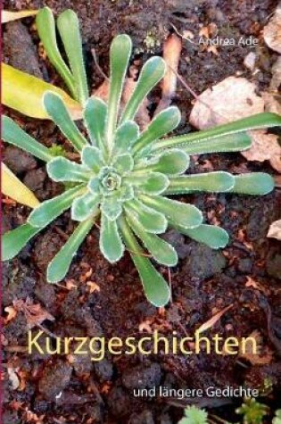 Cover of Kurzgeschichten