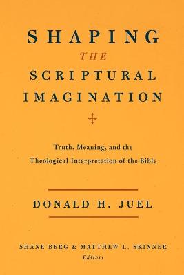 Book cover for Shaping the Scriptural Imagination
