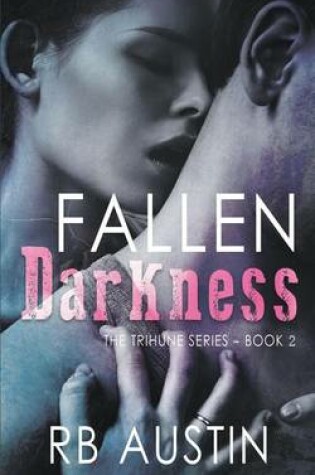 Cover of Fallen Darkness