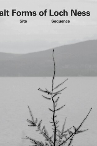 Cover of Gerard Byrne: Gestalt Forms of Loch Ness