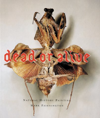 Book cover for Dead or Alive