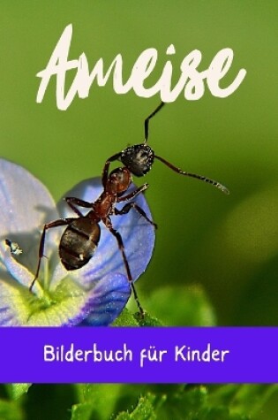 Cover of Ameise