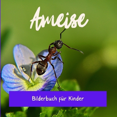 Cover of Ameise