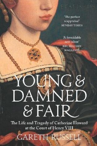 Cover of Young and Damned and Fair