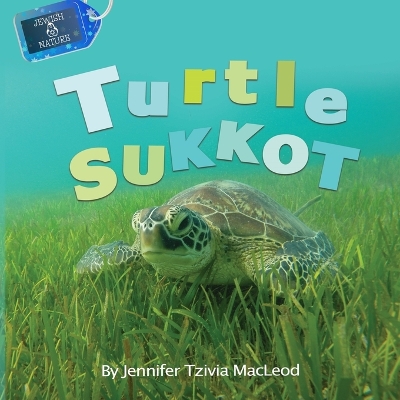 Book cover for Turtle Sukkot