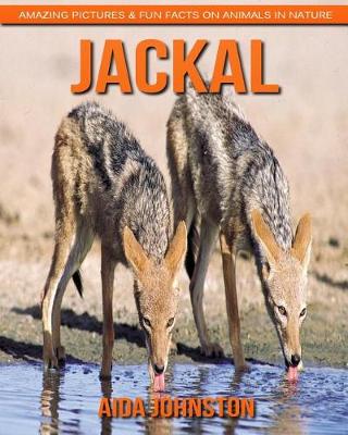 Book cover for Jackal