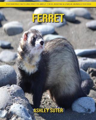 Book cover for Ferret