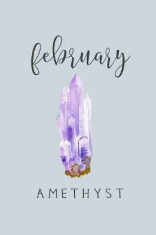 Cover of February Birthstone Amethyst