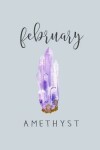 Book cover for February Birthstone Amethyst