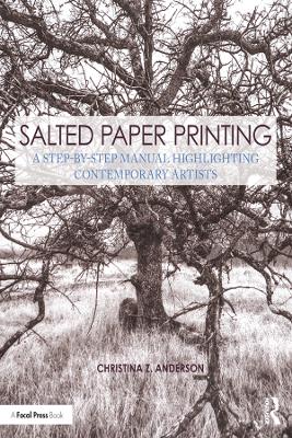 Book cover for Salted Paper Printing