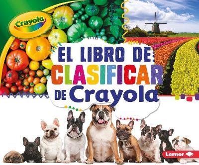 Book cover for El Libro de Clasificar de Crayola (R) (the Crayola (R) Sorting Book)